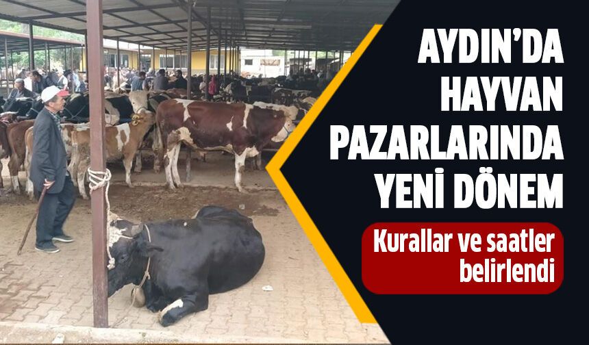 Aydın'da hayvan pazarlarında yeni dönem!