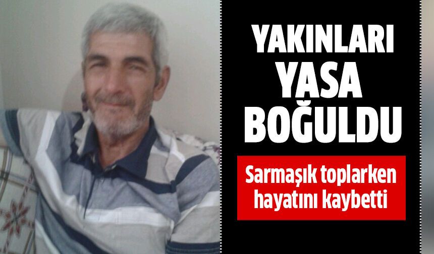 Sarmaşık hayatını kaybetti