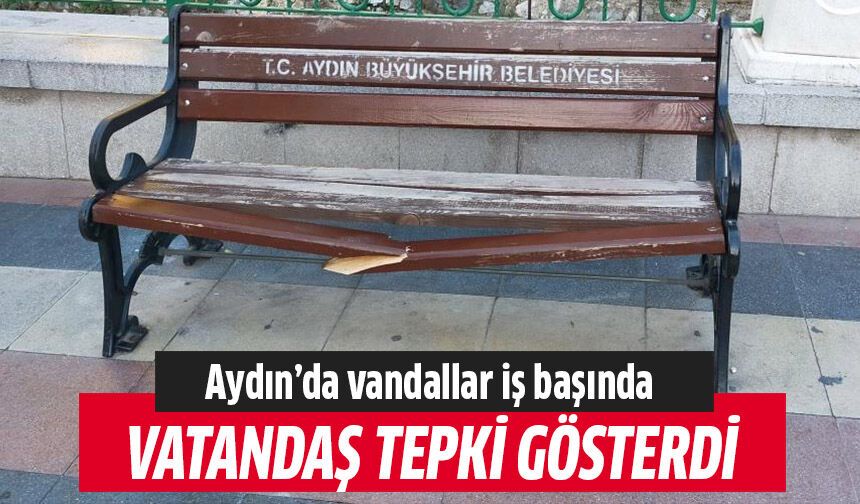 Aydın'da vandallar iş başında!