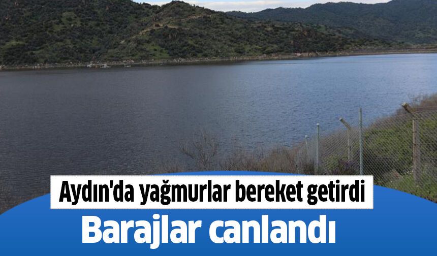 Aydın'da yağmurlar bereket getirdi, barajlar canlandı