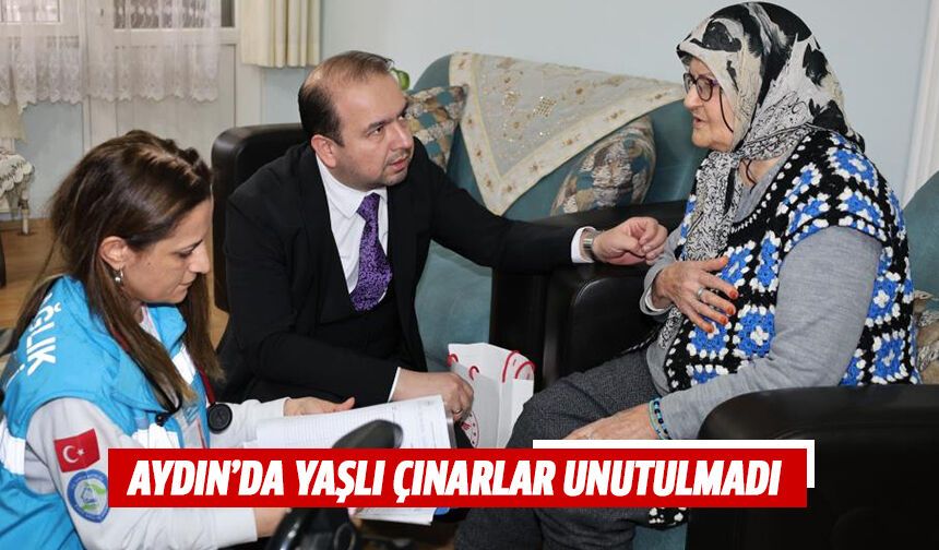 Aydın’da yaşlı çınarlar unutulmadı