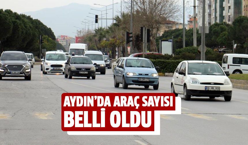 Aydın'da araç sayısı belli oldu!