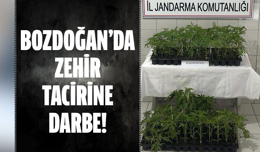 Bozdoğan'da zehir tacirine darbe!
