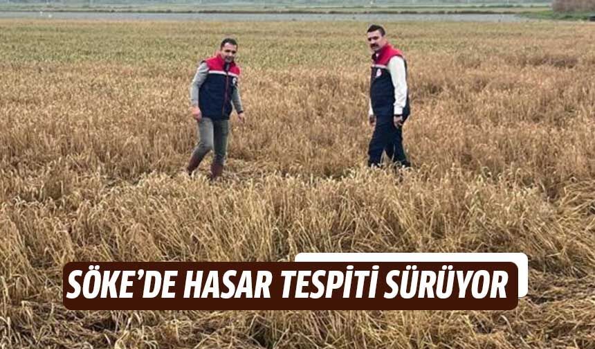 Söke’de sel sonrası tarım arazilerinde hasar tespiti sürüyor