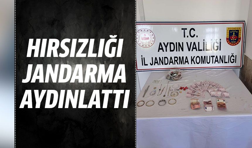 Nazilli'de hırsızlık operasyonu!