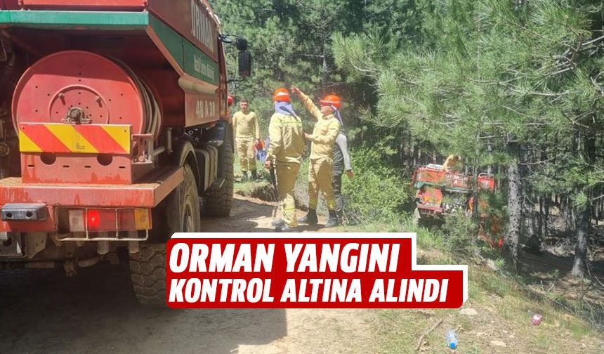 Orman yangını kontrol altına alındı