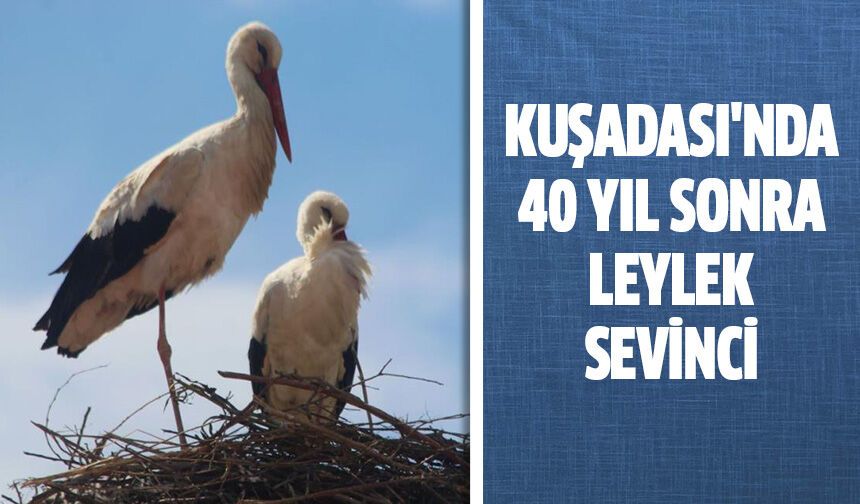 Kuşadası'nda 40 yıl sonra leylek sevinci