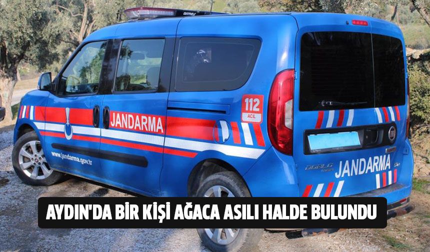 Aydın'da korkunç manzara!