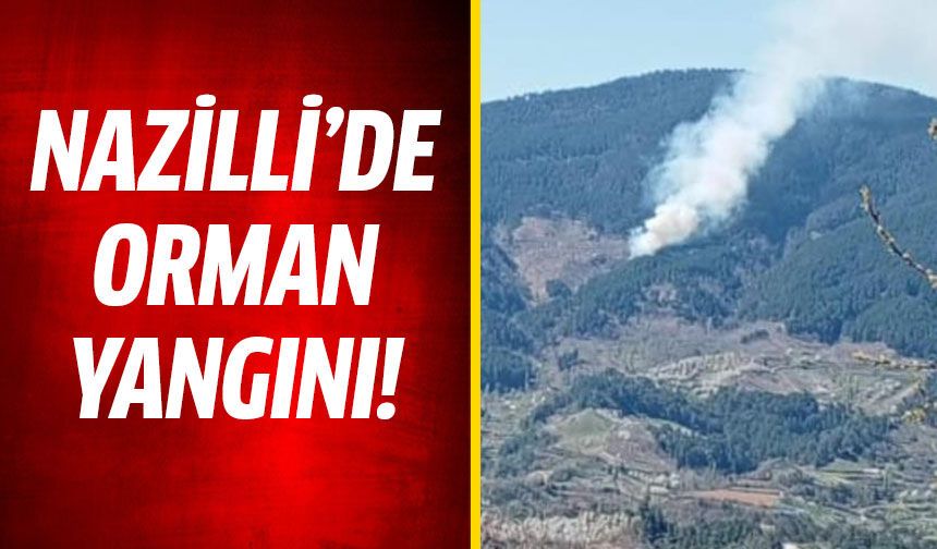 Nazilli'de orman yangını
