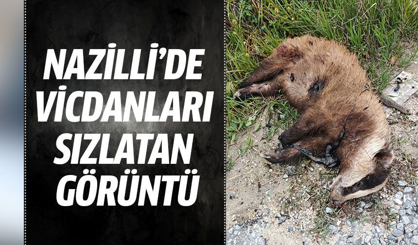 Nazilli’de vicdanları sızlatan görüntü
