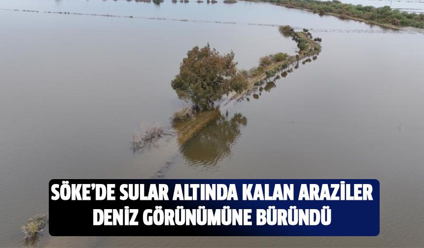 Sular altında kalan araziler deniz görünümüne büründü