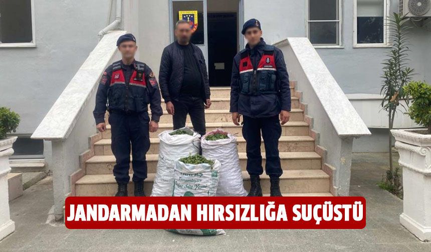Jandarmadan hırsızlığa suçüstü!