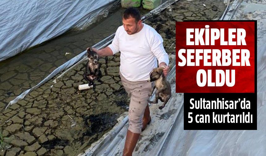 Sultanhisar'da 5 can kurtarıldı!