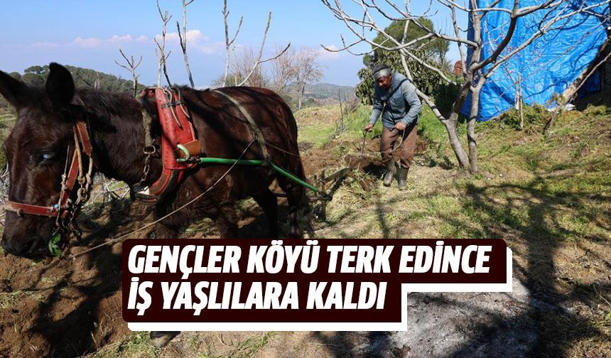 Gençler köyü terk edince iş yaşlılara kaldı