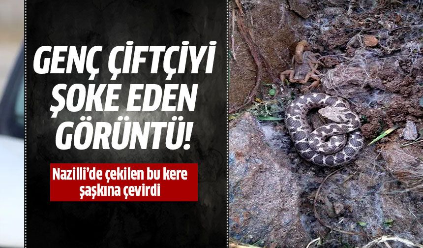 Nazilli'nin en zehirlileri aynı karede!