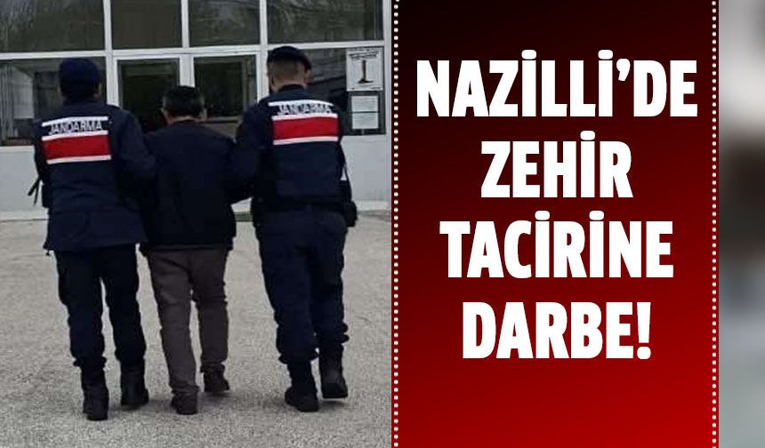 Nazilli'de sera içerisinde 208 kök kenevir ele geçirildi!