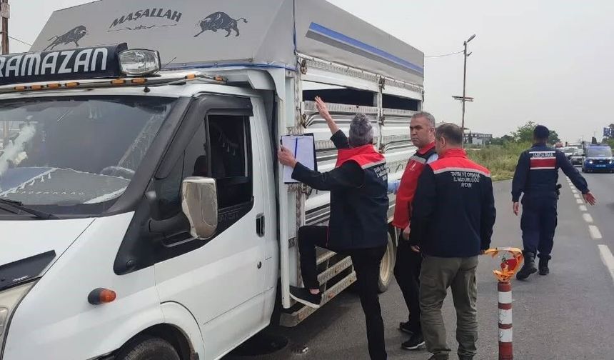 Aydın’da Kurban Bayramı öncesi yol denetimleri artırıldı