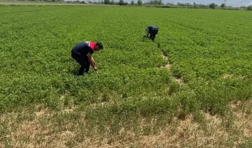 Aydın’da kuraklıkla mücadele çalışmaları sürüyor