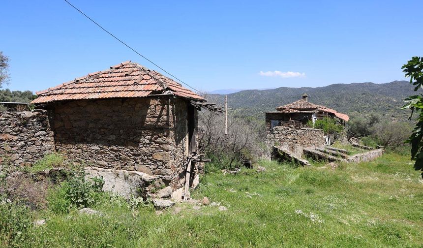Bu köy savaş gördüğü için değil gençler terk ettiği için bu hale geldi