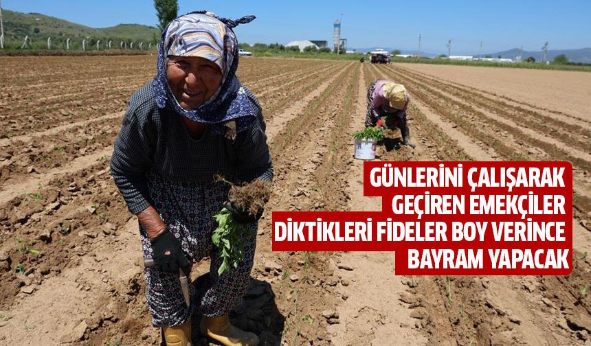 İşçi Bayramı’nın öteki yüzü