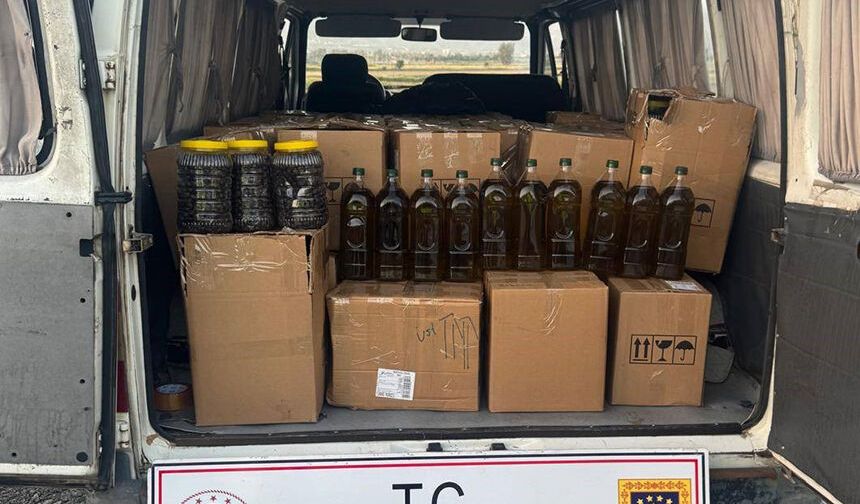 Aydın'da 2 milyon 400 bin TL değerinde taklit zeytinyağı ele geçirildi