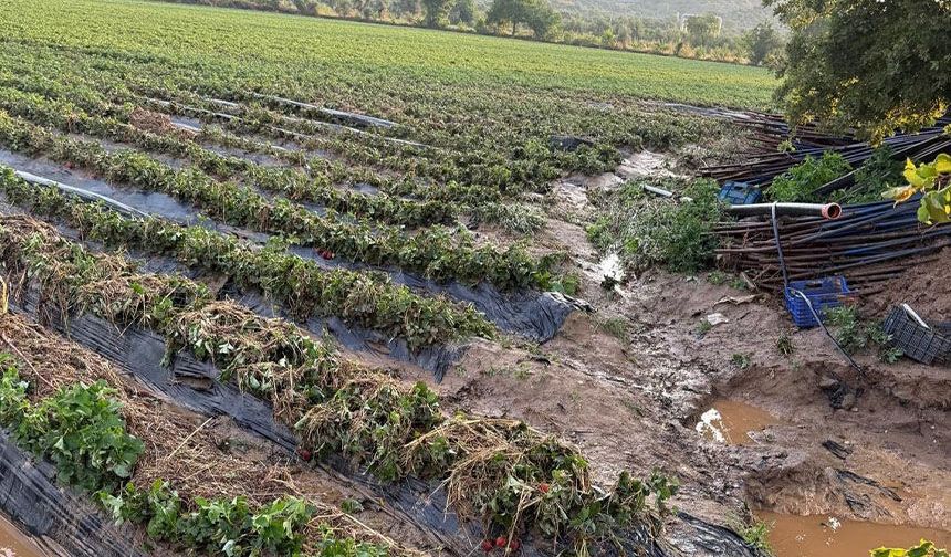 Köşk'te sel sonrası arazilerde hasar tespiti başlatıldı