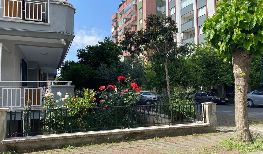 Aydın'ın cadde ve sokakları çiçek açtı
