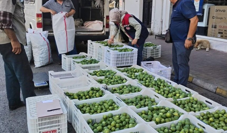 Bozdoğan’da ilek denetimleri aralıksız sürüyor