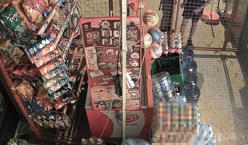 Marketin kapısını kırıp içeri giren çocuklar marketi talan etti