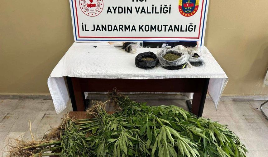 Operasyonda yakalandı, tutuklandı