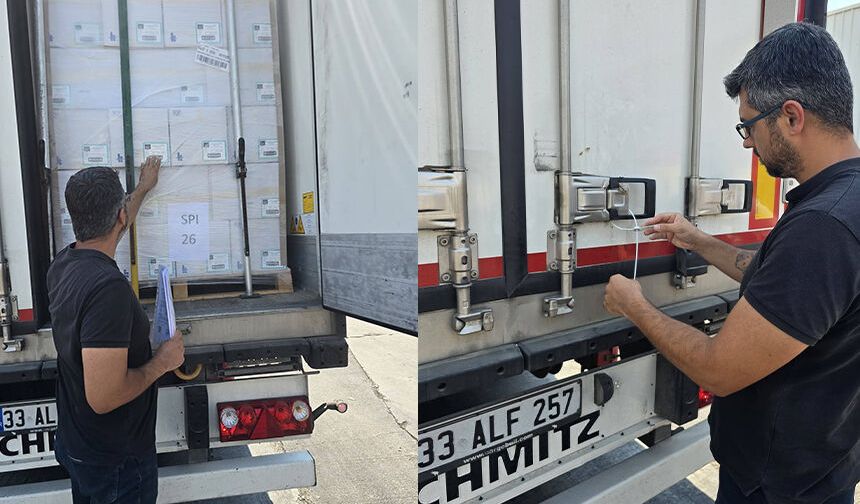 Didim’in balıkları İngiltere yolcusu