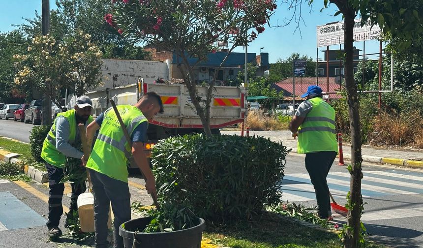 Başkan Çerçioğlu kentin dört bir yanında vatandaşları hizmet ve çalışmalarla buluşturuyor