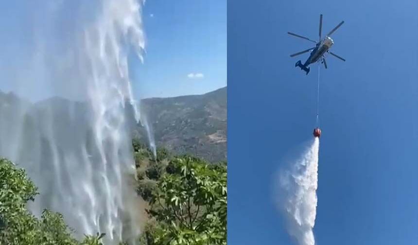 Yemek ısıtmak için yaktığı ateş incir bahçesini kül etti