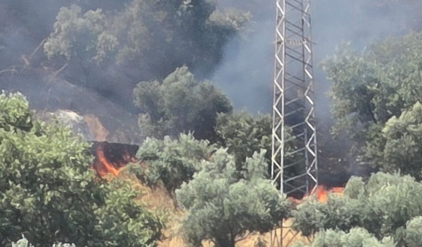 Nazilli'de korkutan yangın