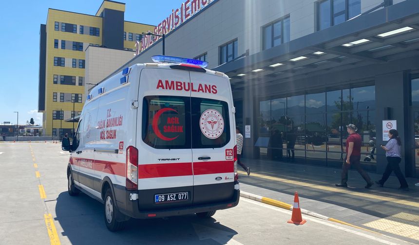Zakkumun çiçeğini yedi, komalık oldu