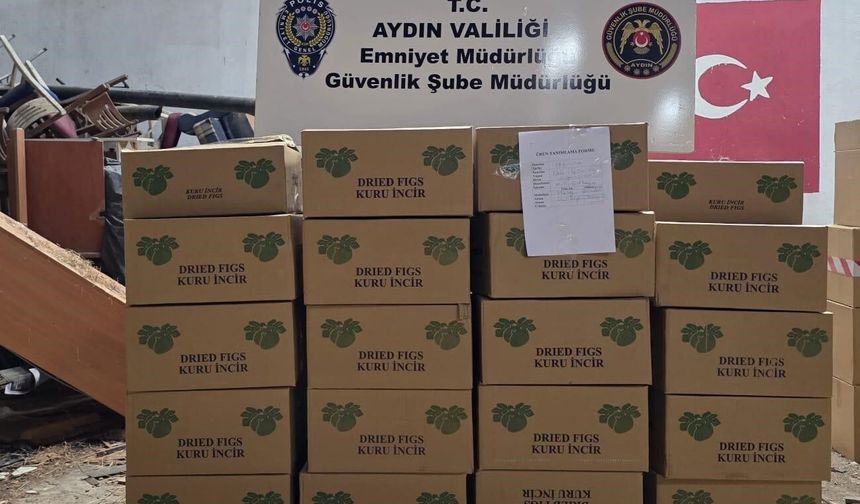Makilik ve zeytinlik yangını