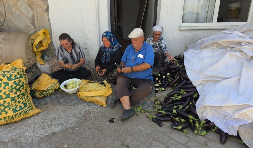 Ege'nin 'Patlıcan Vadisi'nden tüm dünya sofralarına