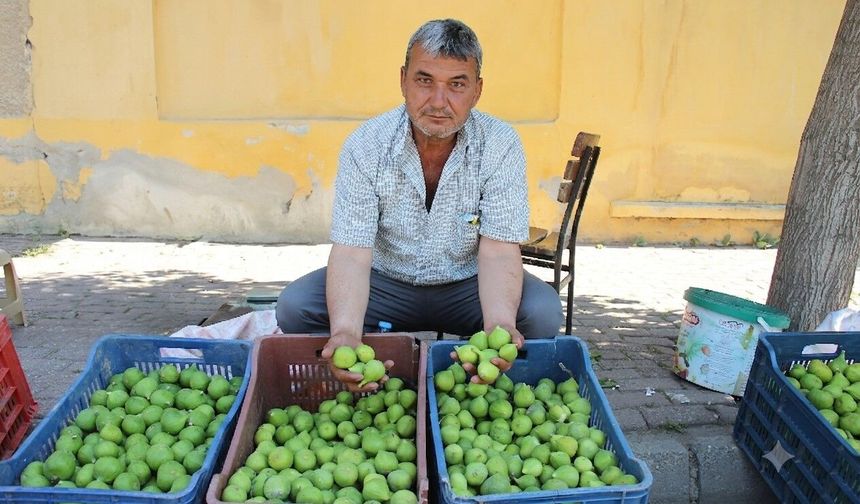 "Çalışmazsam ölürüm" diyerek gençlerin kolay para hevesini eleştirdi
