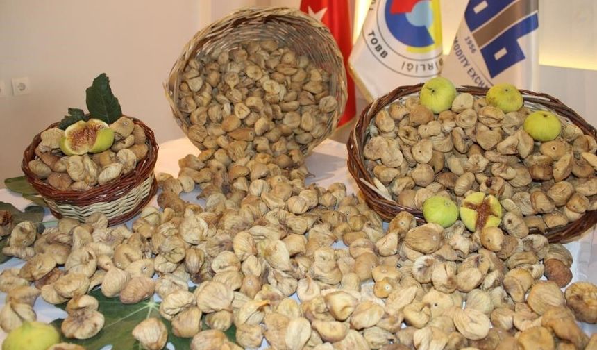 İncir üreticilerinden Bakanlığa çağrı: İşletmelerin ve tüccarların denetlenmesi lazım