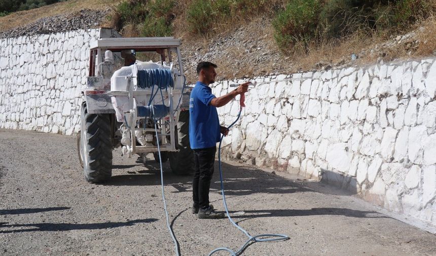 Bozdoğan’da haşereyle mücadele sürüyor