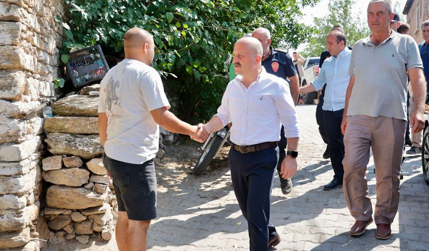 Vali Varol: Yanan alanlar en kısa sürede yeniden yeşillendirilecek
