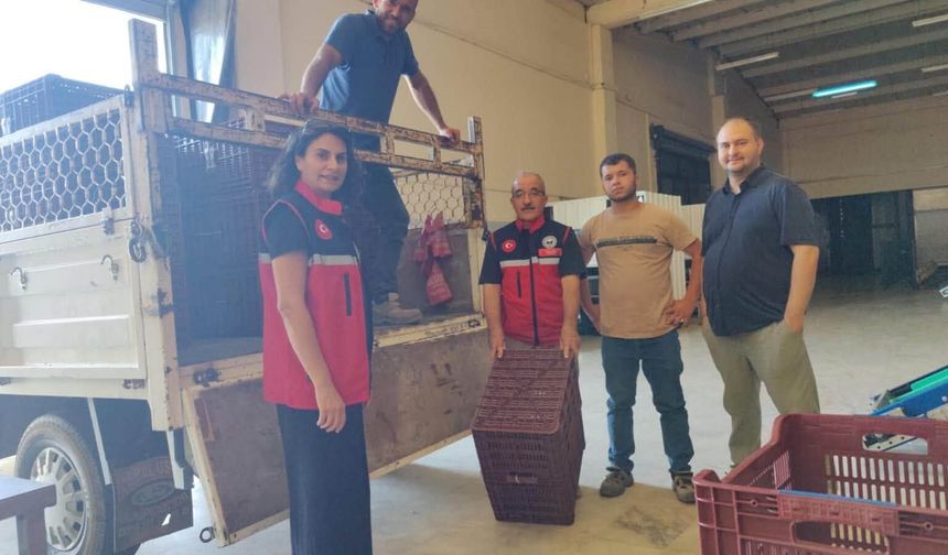 Nazilli’de incir üreticilerine destek