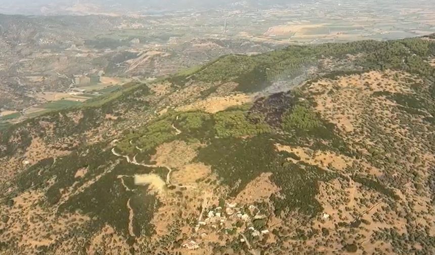 Orman yangını kontrol altına alındı