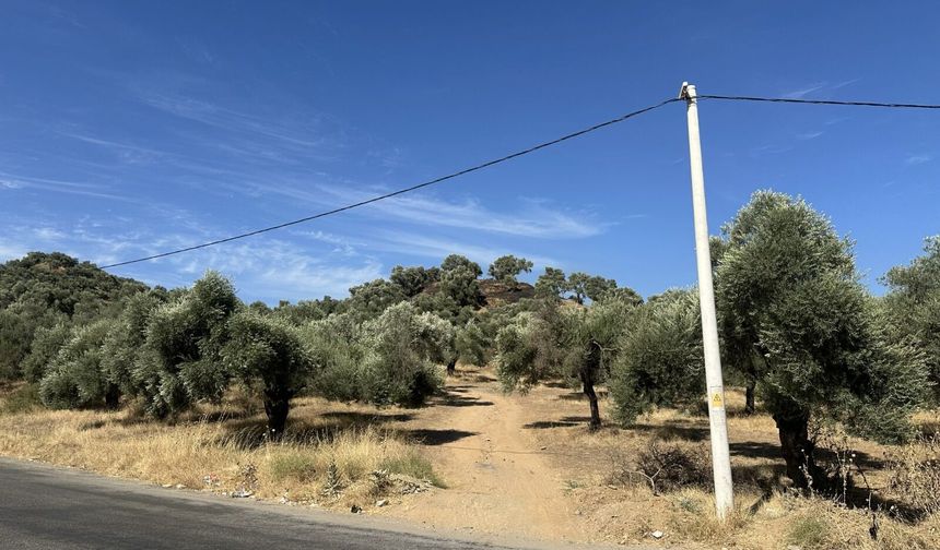 Nazilli’de yangın paniği! Alevlere havadan müdahale