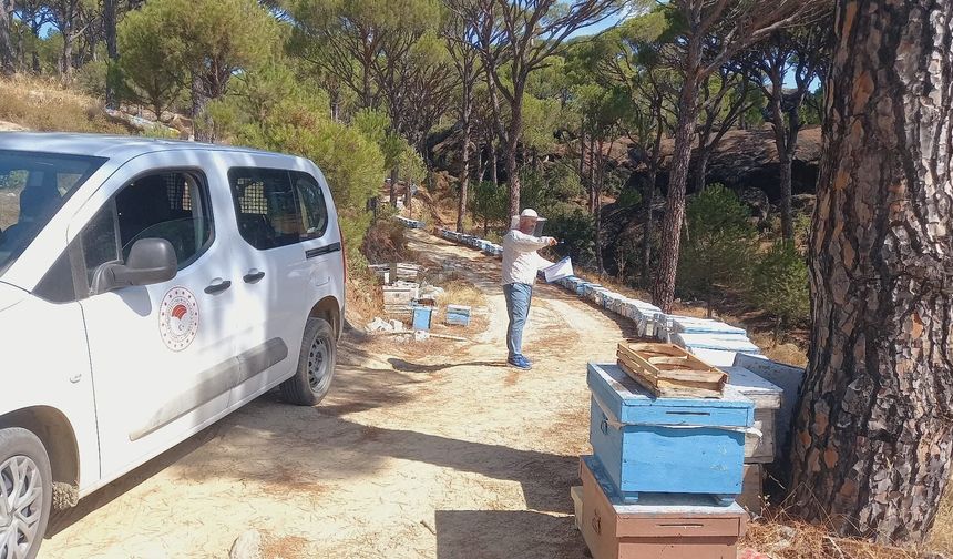 Bozdoğan'da arıcılara yönelik destek çalışmaları sürüyor