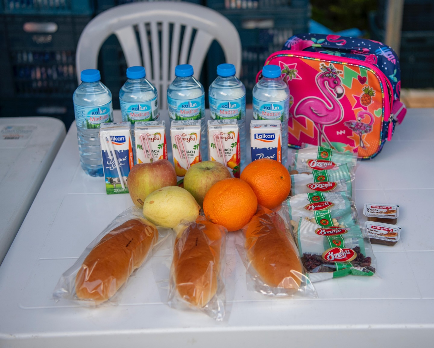 Beslenme Desteği (1)