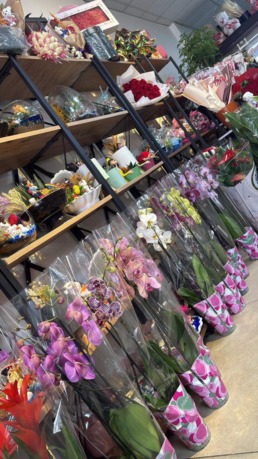 Whatsapp Image 2026 02 07 At 13.08.57