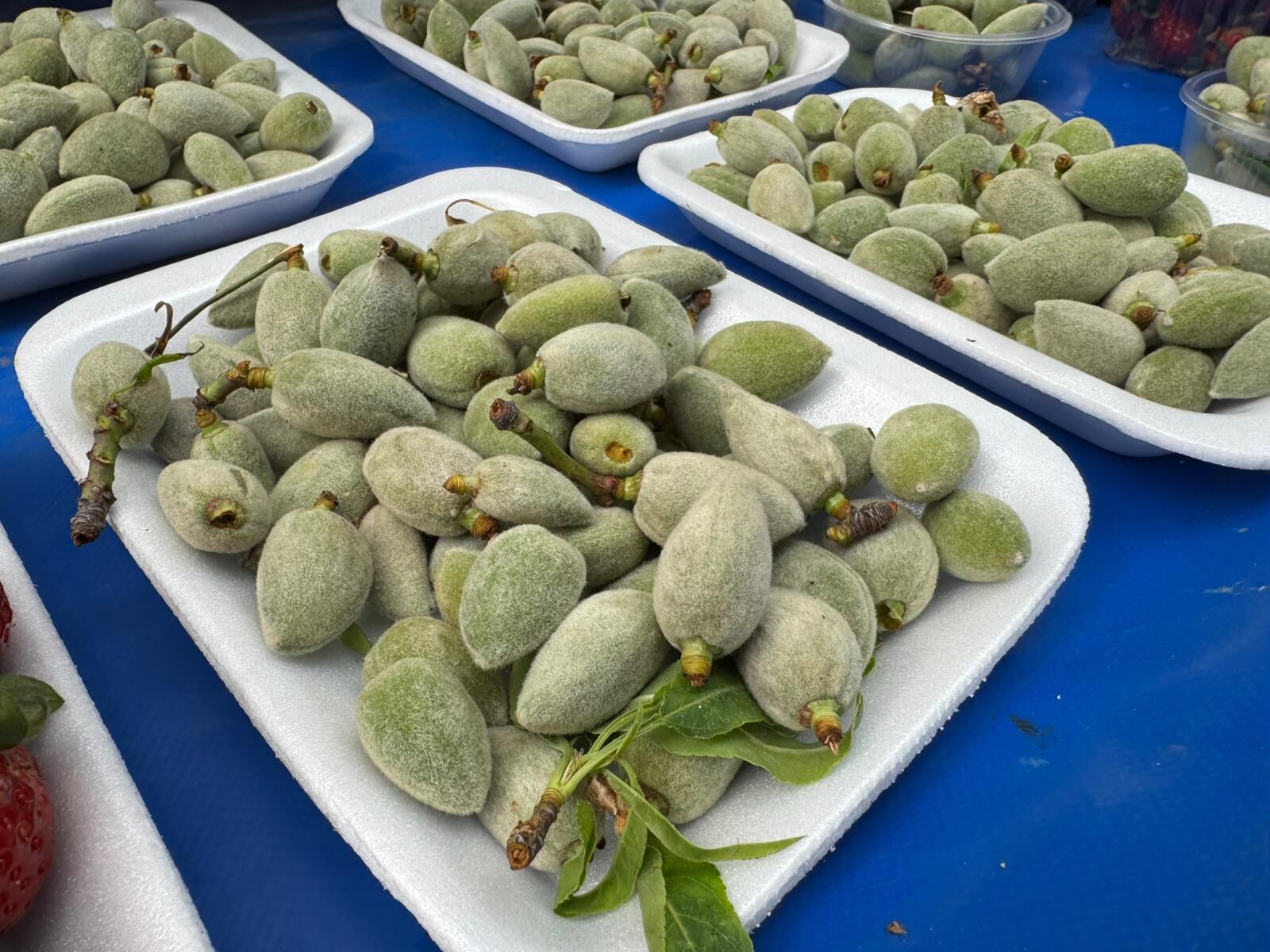 Whatsapp Image 2026 03 05 At 12.59.49