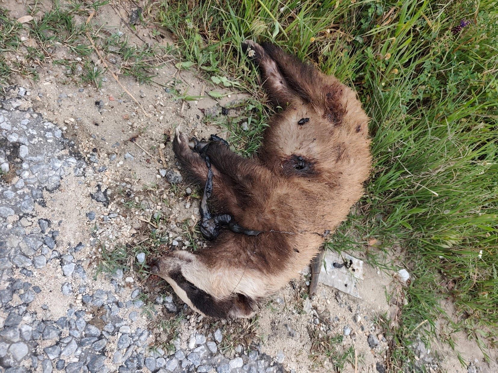 Whatsapp Image 2026 04 22 At 22.07.36