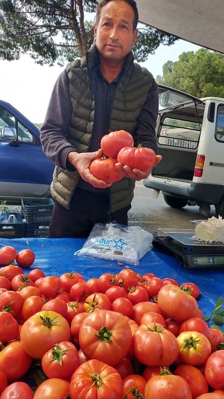 Aydın’daki Pazarda Görüntülendi.. Tek Domates 1 Kilo! (1)